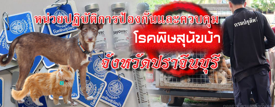 rabies Prachinburi