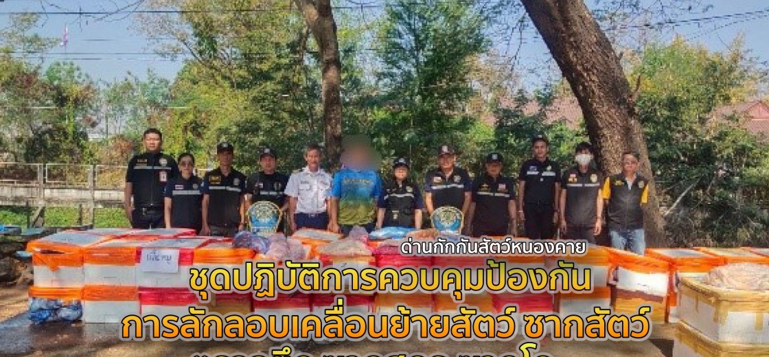 ชุดปฏิบัติการควบคุมป้องกันการลักลอบเคลื่อนย้ายสัตว์-ซากสัตว์ ตรวจยึด ซากสุกร-ซากโค 