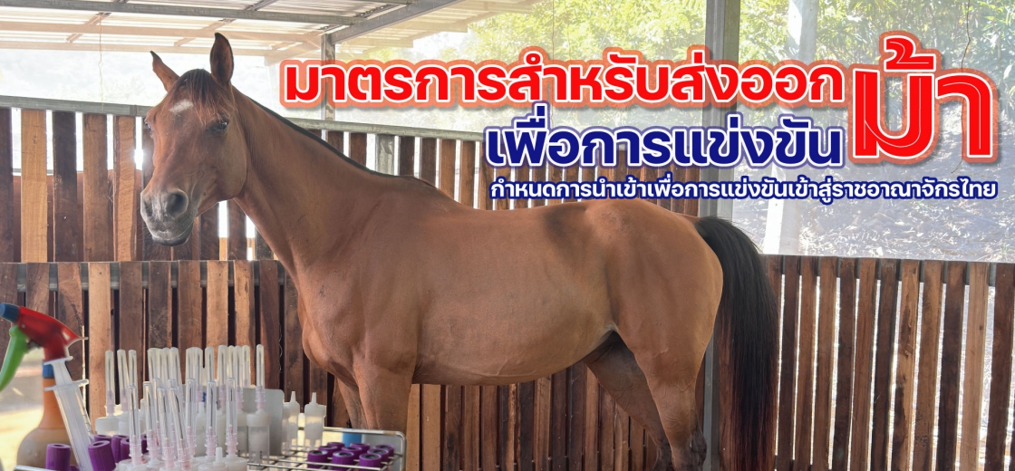 การเก็บตัวอย่างทดสอบโรคม้าทางห้องปฏิบัติการหลังนำเข้า