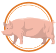 logo swine2